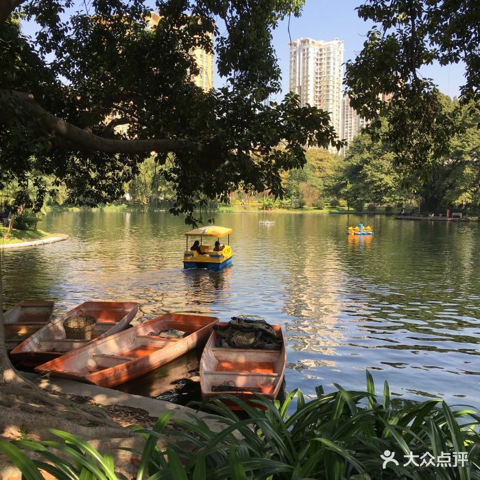 晓港公园景点图片 第55张