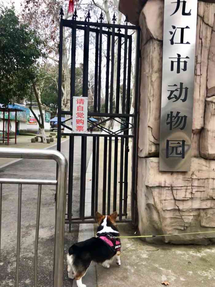九江市动物园-"下了庐山我们就来了九江,看着九江没什么看.