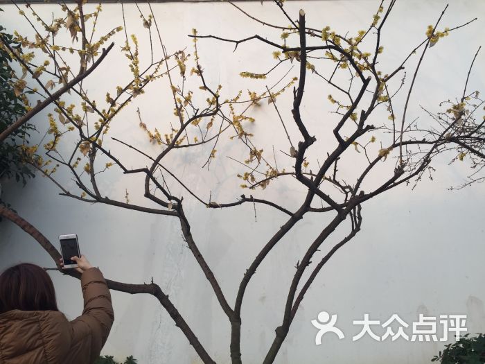 朱鸿兴酒楼:去拙政园的时候在这里吃的面,不.苏