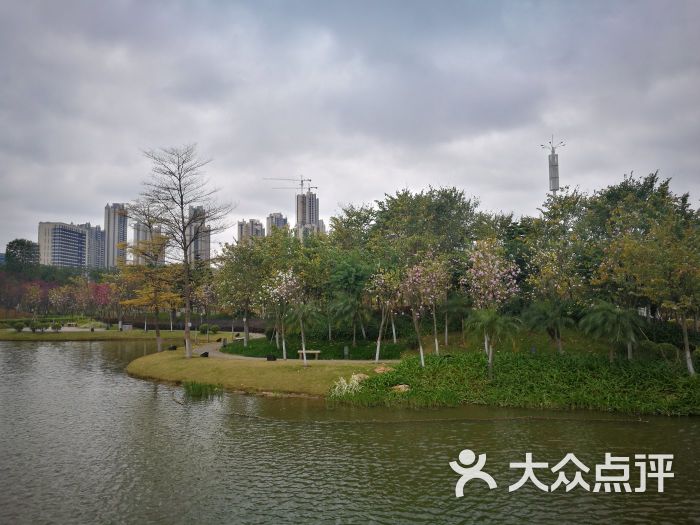 映月湖公园图片 - 第59张