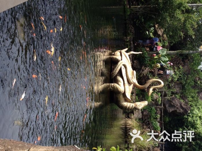玄武池