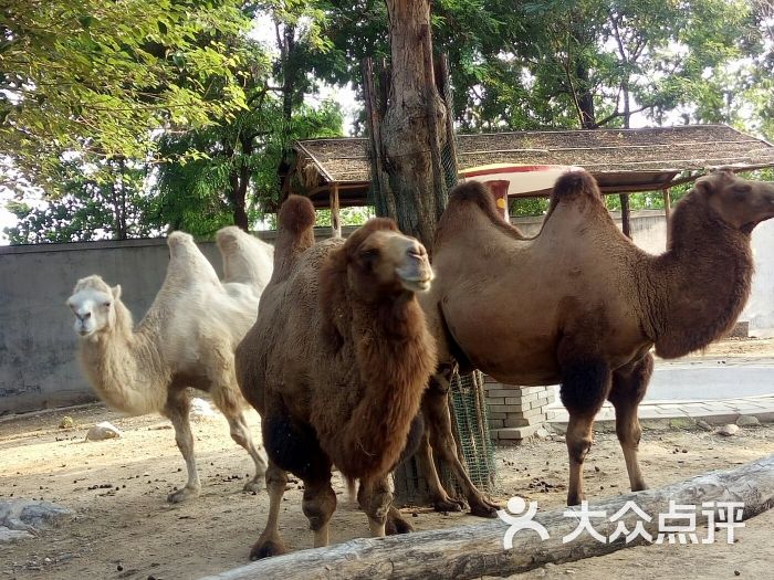 金宝乐园图片 第14张