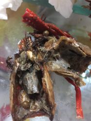 东兴饭庄怎么样,好不好的默认点评-兰州