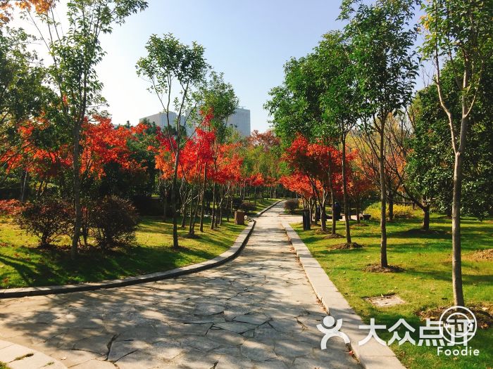金匮公园图片 - 第144张
