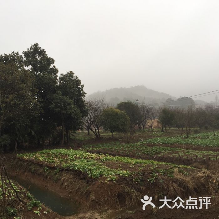 农林村 大众点评