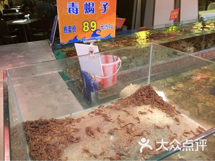 成都红高粱海鲜酒楼_红高粱图片素材_红高粱海鲜酒楼团购