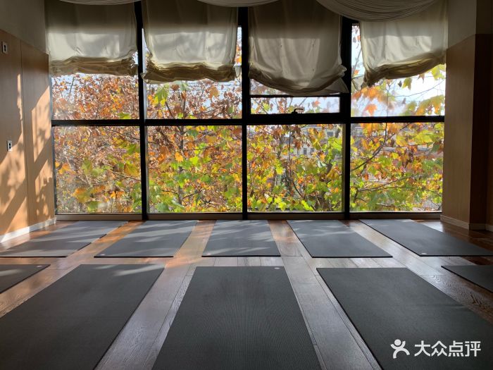 y 瑜伽会所(安福路店)图片 第9张