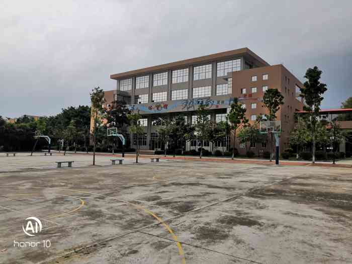 海鸥学校"学校位于海鸥石楼镇海鸥岛,环境非常优美.
