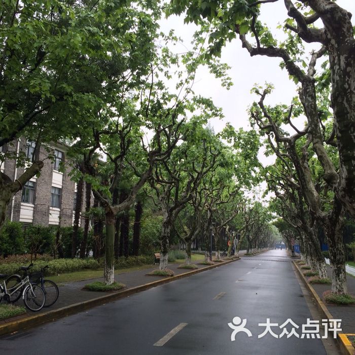 复旦大学(邯郸路校区)