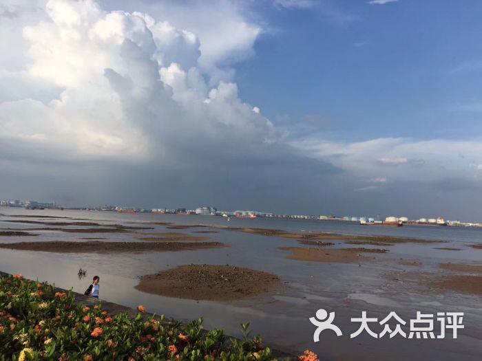 海鸥岛图片 第2张