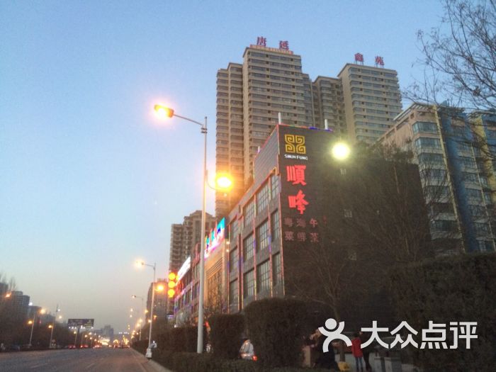 顺峰山庄(唐延路店)