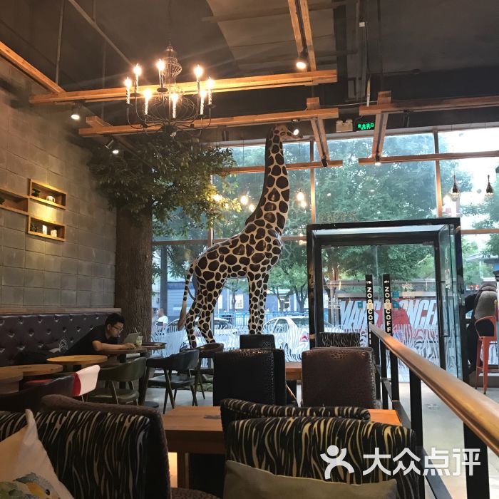 zoo coffee(慈云寺店)图片 - 第2张