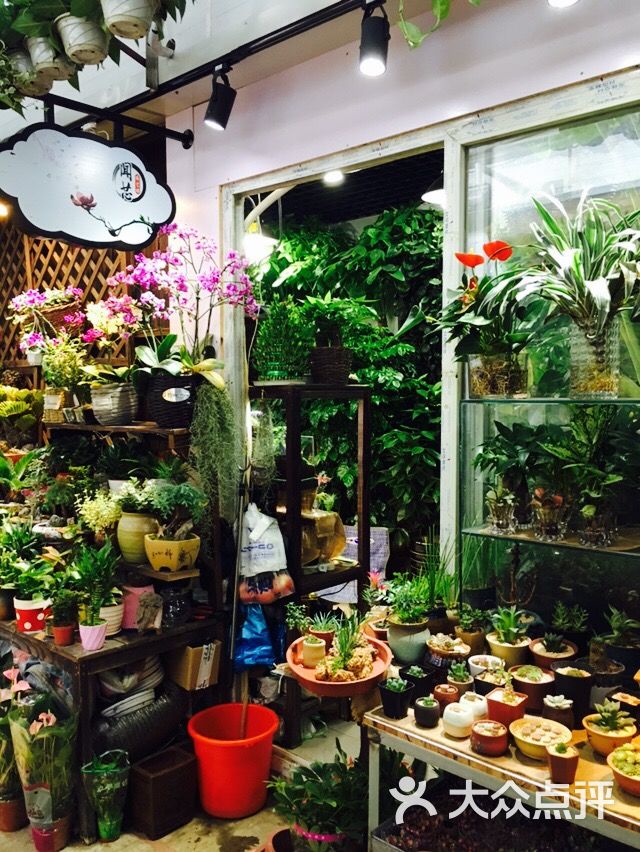 万商花鸟市场(西藏南路店)图片 - 第18张