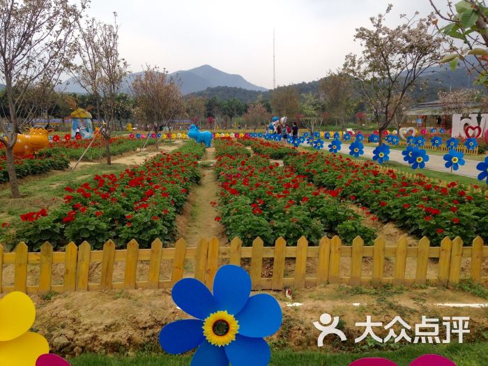 高明盈香生态园图片 - 第4张