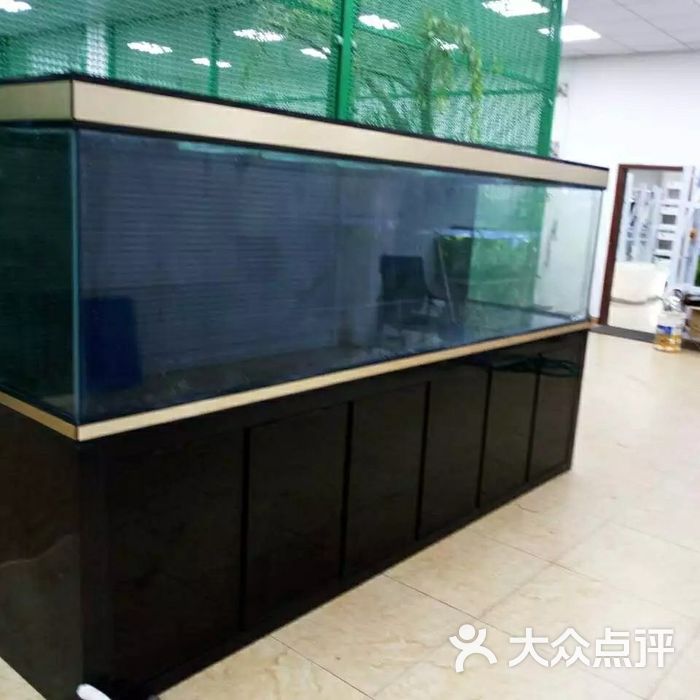 水族艺馆图片-北京宠物店-大众点评网