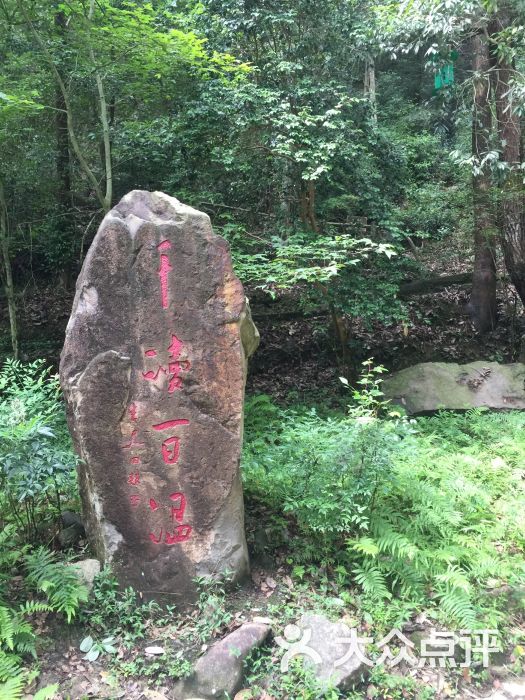 石门洞景区-图片-青田县周边游-大众点评网