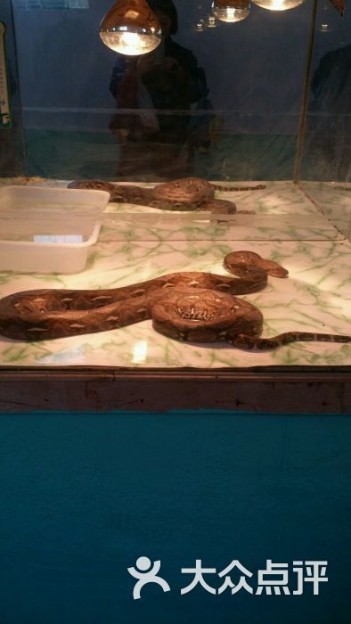 动物园鳄鱼馆-图片-锦州周边游