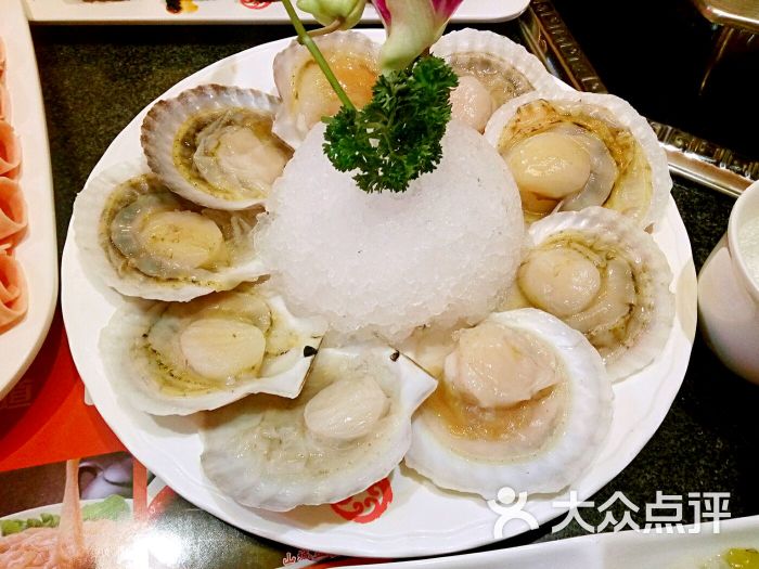 鼎汇丰重庆老火锅(十三纬路店)扇贝图片 - 第131张