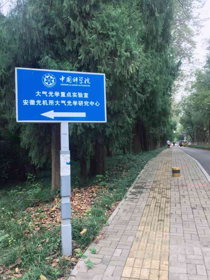 科学岛-"目前国内愈演愈烈的但可以说各显神通颇具看.