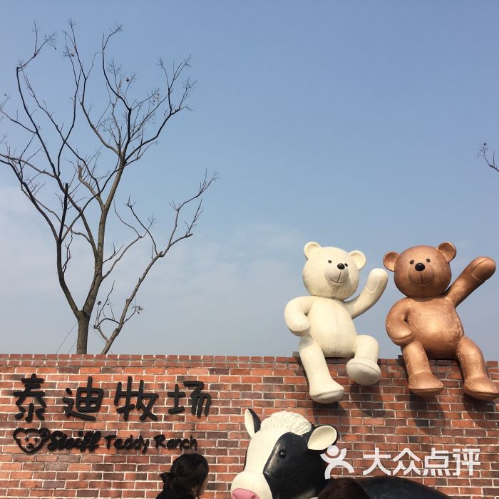 泰迪农场-图片-苏州休闲娱乐-大众点评网