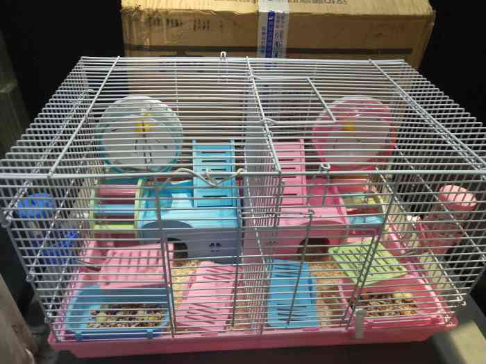 我爱我猫兔兔龙猫仓鼠店