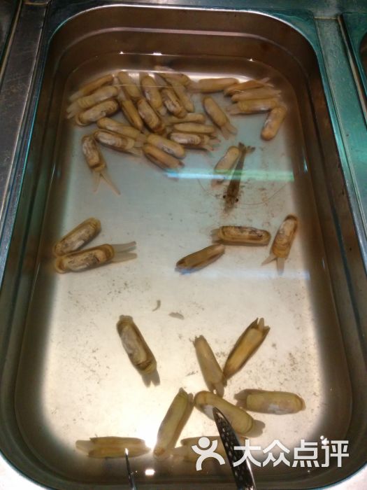 海鲜码头生态园大酒店_大连渔公码头海鲜礼盒_海鲜码头(2)