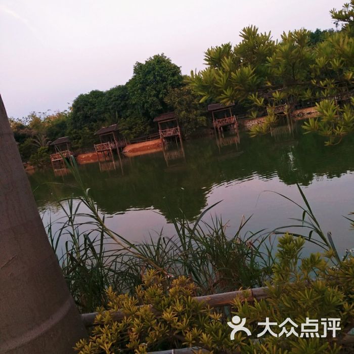 万竹园