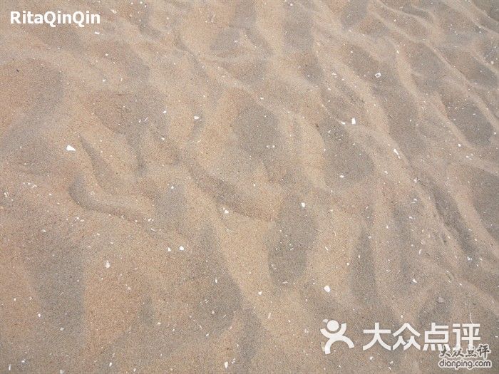 黄金海岸-沙子里有很多贝壳,扎脚图片-昌黎县景