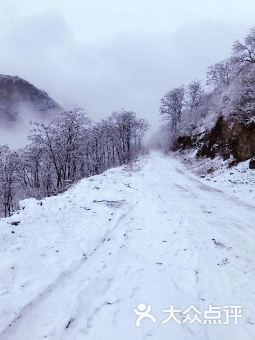 青龙峪高山滑雪场图片 - 第68张