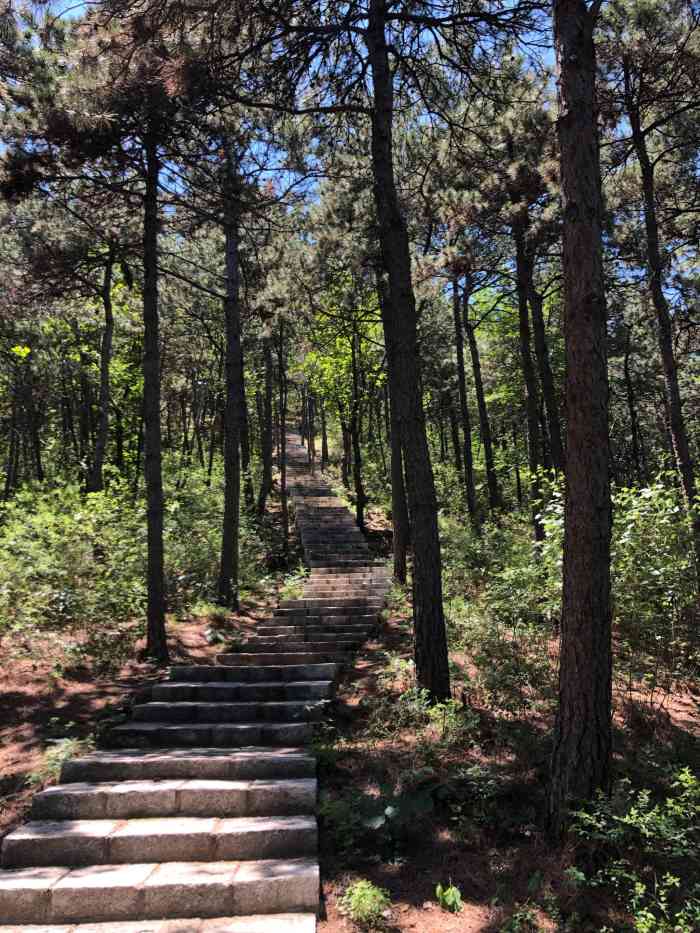 天津九龙山国家森林公园"公司周五下午组织旅游,当然不能太远要不周.