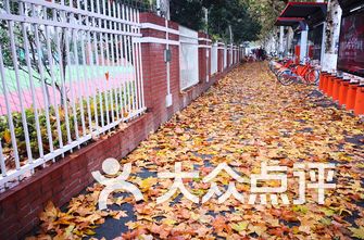 鼓楼小学排名_汉滨区鼓楼小学图片