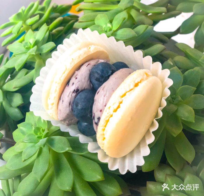 一啾啾三·意式手作马卡龙蓝莓马卡龙图片