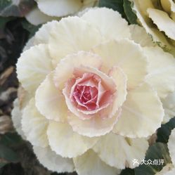 【静安寺】电话,地址,价格,营业时间(图) - 上海