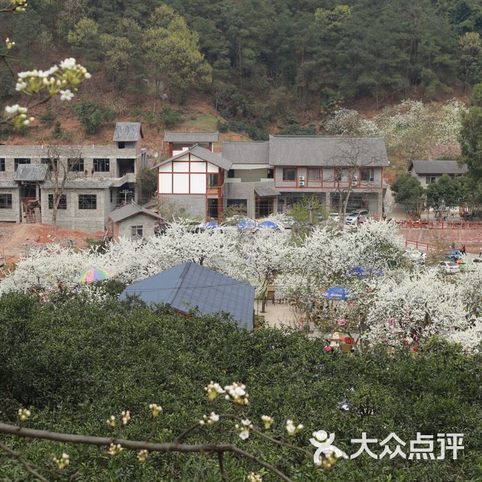 梨花溪风景区