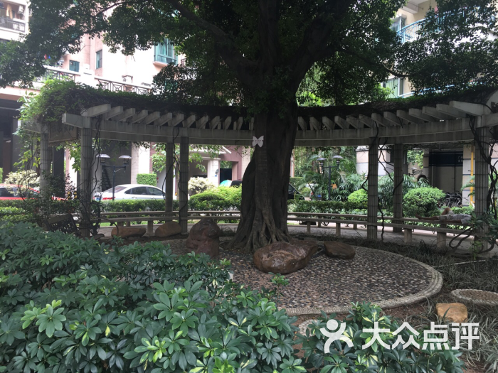 东圃广场小区游泳池图片 - 第13张