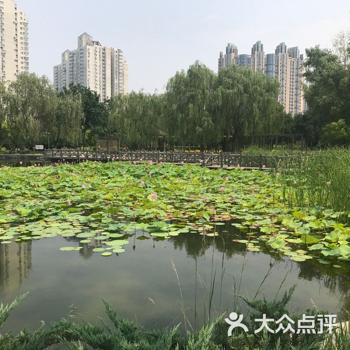 望湖公园