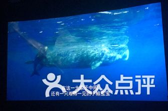 上海电影院排名_上海西海电影院(3)