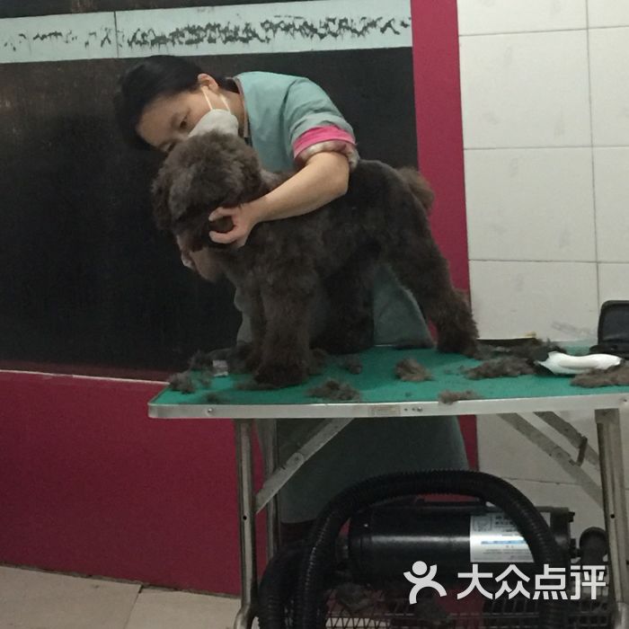 作为大嘴狗的首评,我很荣幸,真心谢谢这些爱猫咪爱狗狗保护小动物不心黑哥哥姐姐!我们家三三宝宝就是在大嘴狗买走的,从三个月到一岁半,有三三的日子里,总是幸福的也要感谢东姐还有姐夫对三三一直以来的照顾,想起来每次去店里都像三三回娘家了,想想都觉得很温暖! 环境:自从我养啦三三,就经常接触宠物店,经常买这个买那个,狗粮,狗狗玩具,洗澡,衣服等等我去过缘爱,去过三马路宠物店,环境都不如大嘴狗,二楼是狗狗住宿的地方,一楼是猫咪,还给猫咪专门隔离了一个玻璃房间,干净卫生,特别棒! 服务:可以说我们三三从小到大