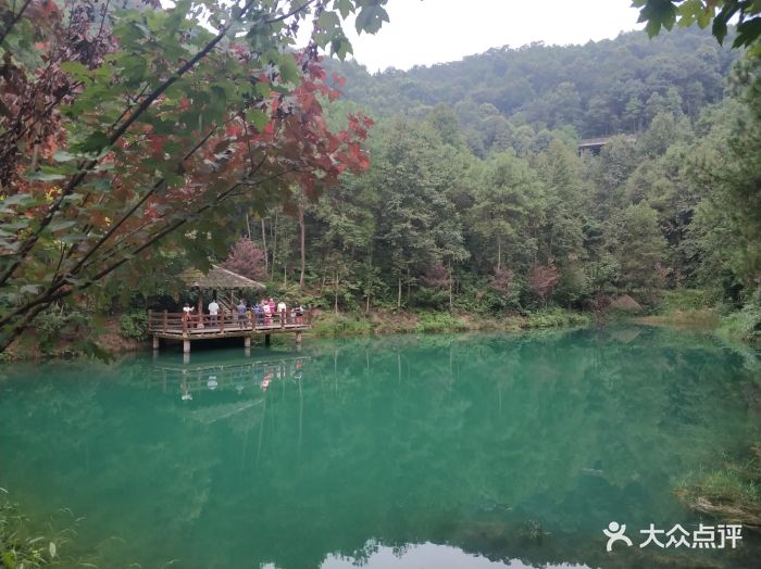 九凤山生态旅游区图片 - 第475张
