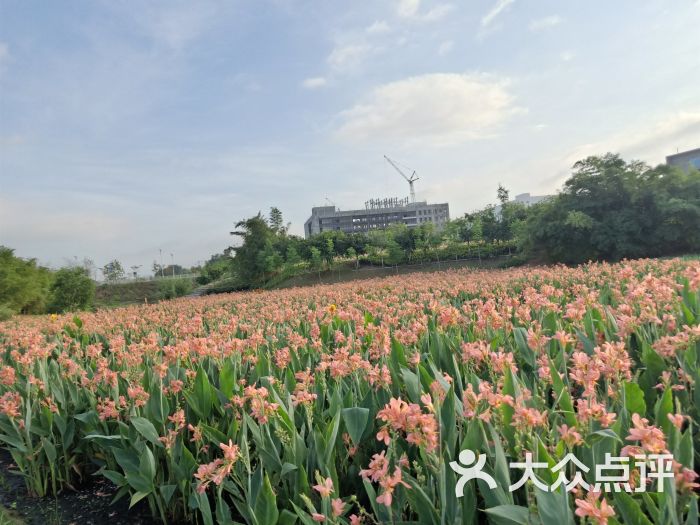 坪山湿地公园-图片-深圳周边游-大众点评网