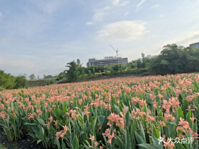 坪山湿地公园图片 第8张