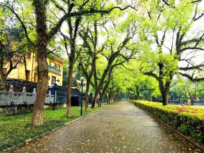 广西师范大学(王城校区)