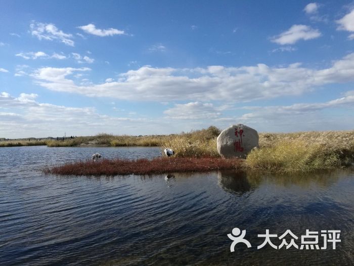 黑龙江扎龙自然保护区-图片-齐齐哈尔周边游-大众点评