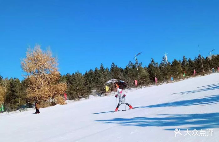 东山滑雪场图片