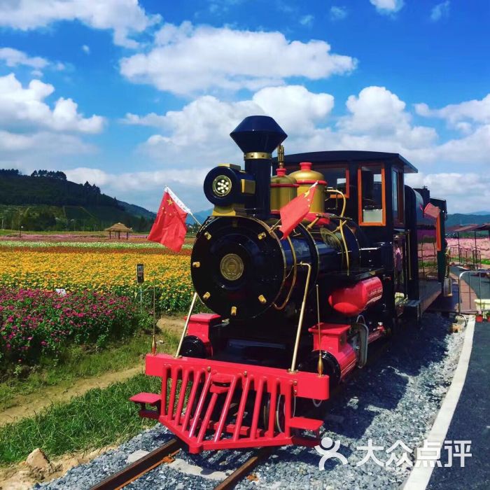 千花里景区(原径山花海)小火车图片 - 第3张