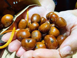 老海栗子