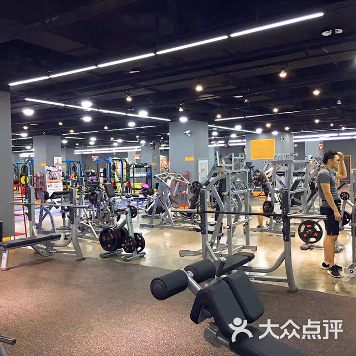都铎健身