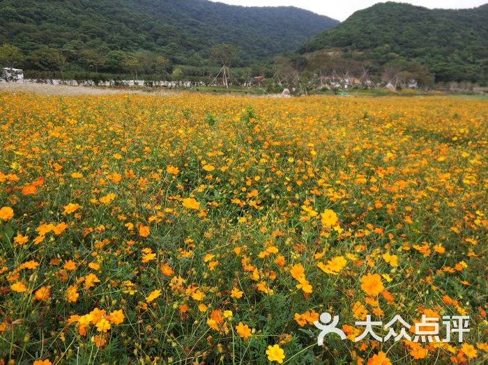 里沙生态园图片 - 第8张