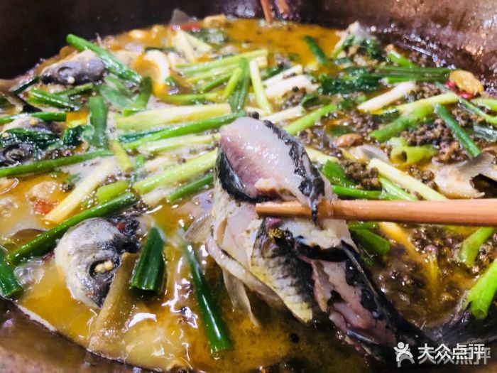 石锅土鲫鱼图片 第15张