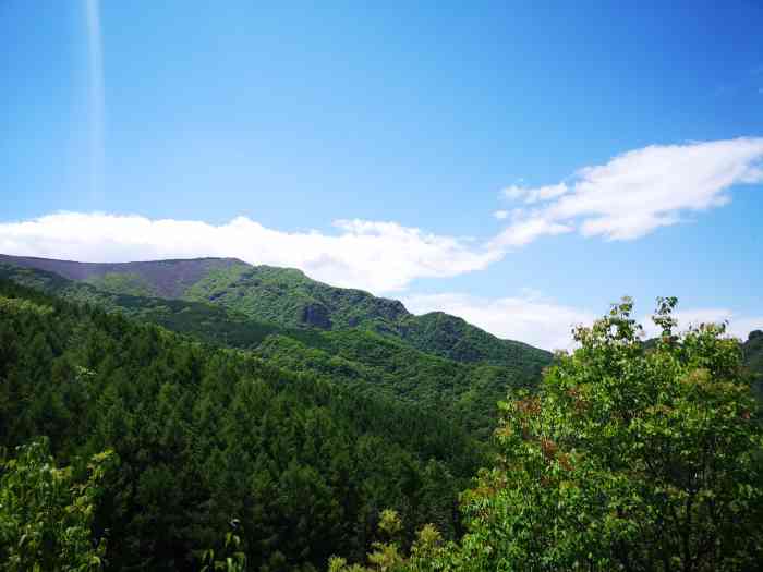 百花山自然保护区